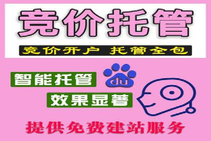 谷歌SEM实战案例：打造爆款广告策略